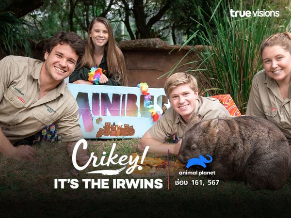 Crikey! It’s Irwins S4