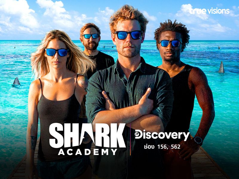 Shark Academy